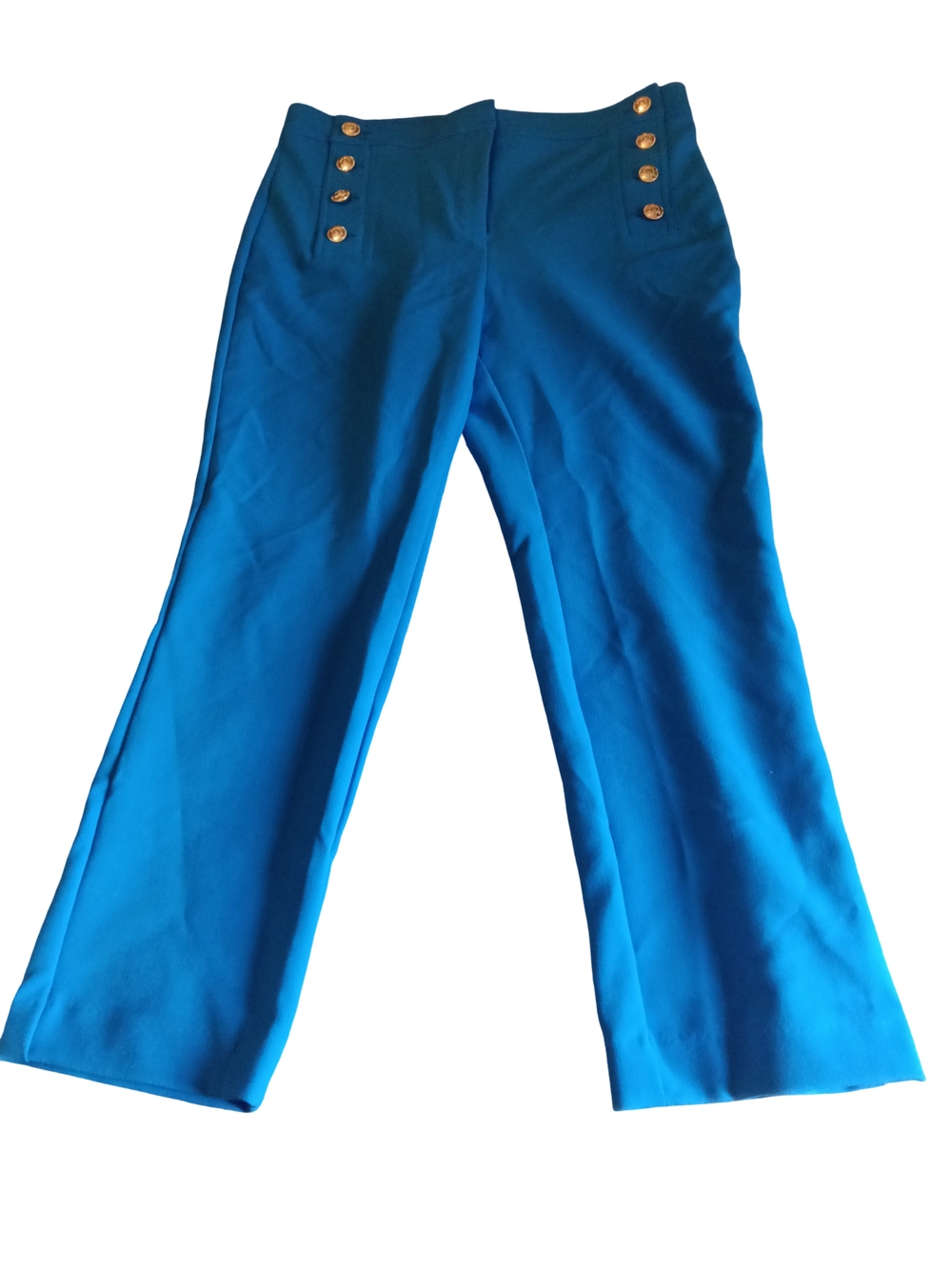 Ann Taylor Royal Blue Trousers